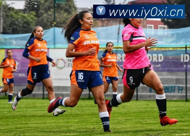 nba在线直播平台生态图